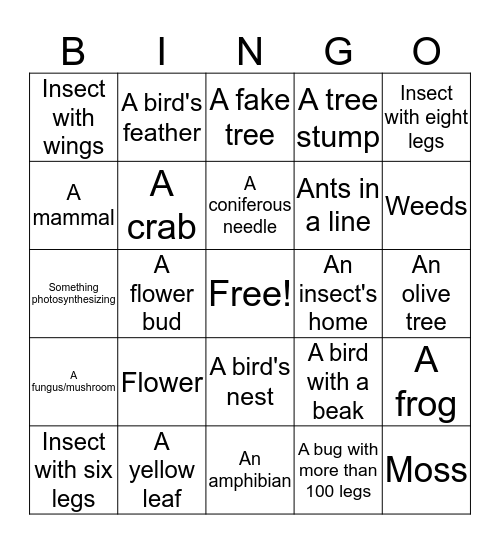 Biology! Bingo Card