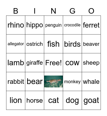 Animals Bingo Card