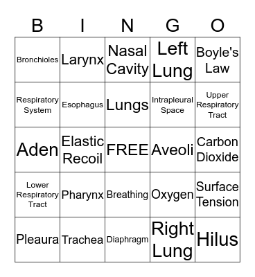 Respiratory System Bingo Card