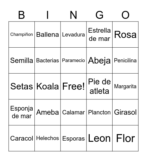 Seres vivos Bingo Card
