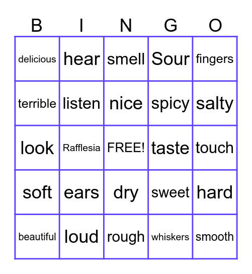 Senses Bingo Card