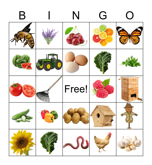 Farm Bingo Card