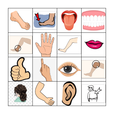 Body Parts Bingo Card