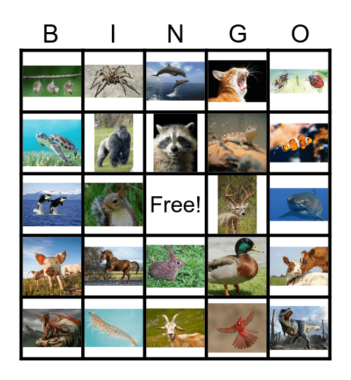 Animal Bingo Card