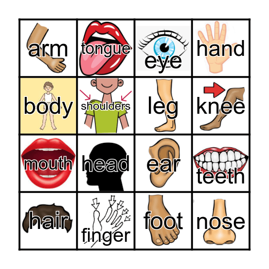 My body parts Bingo Card