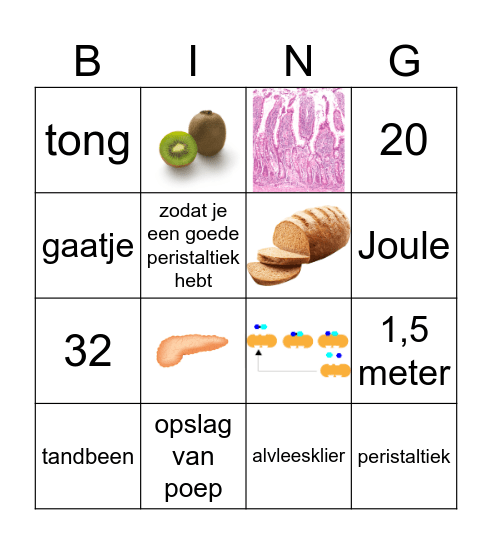 Voeding en vertering Bingo Card
