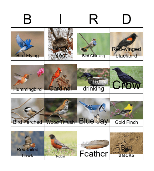 Birdwatching Bingo Card