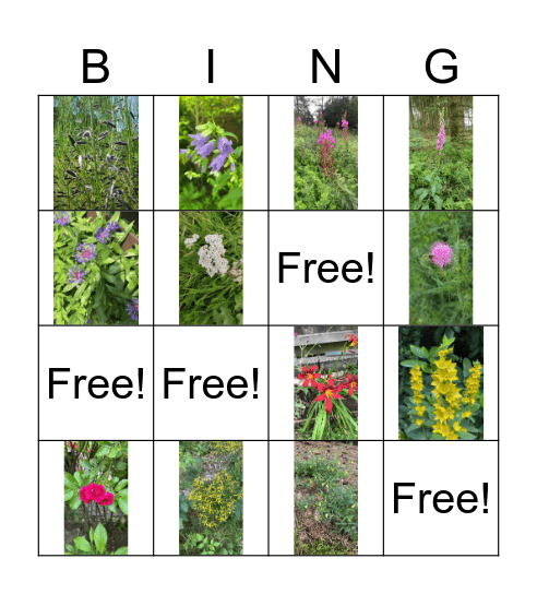 BloemenBingo Card