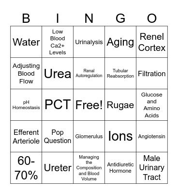 Urinary System - G Bingo Card