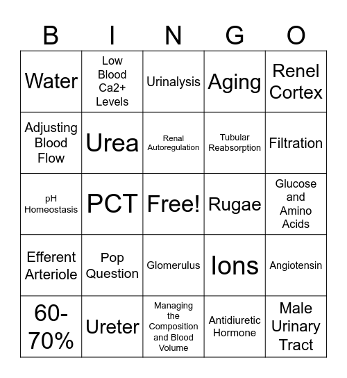 Urinary System - G Bingo Card
