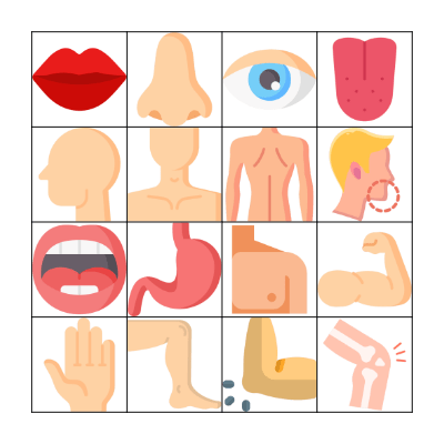 Body Parts Bingo Card