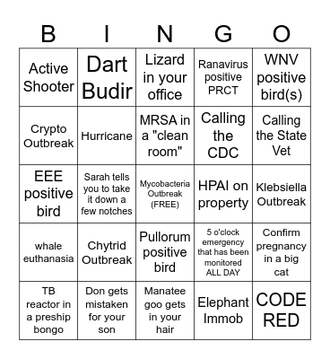 Veterinary Intern BINGO Card