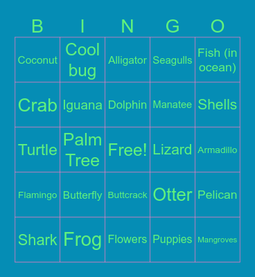 Florida Board Bingo Card