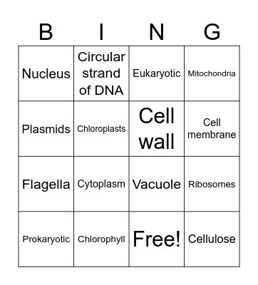 Cells Bingo Card