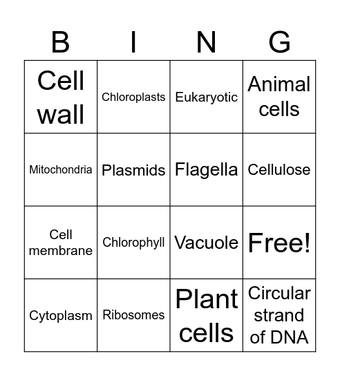 Cells Bingo Card