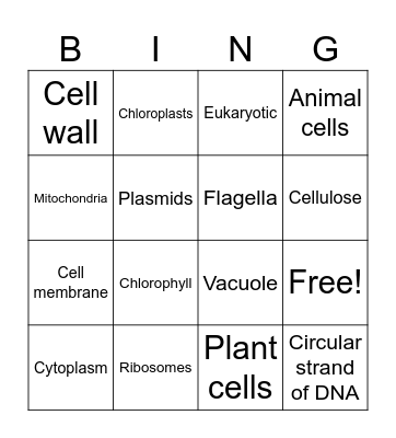 Cells Bingo Card