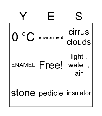 Science Bingo Card