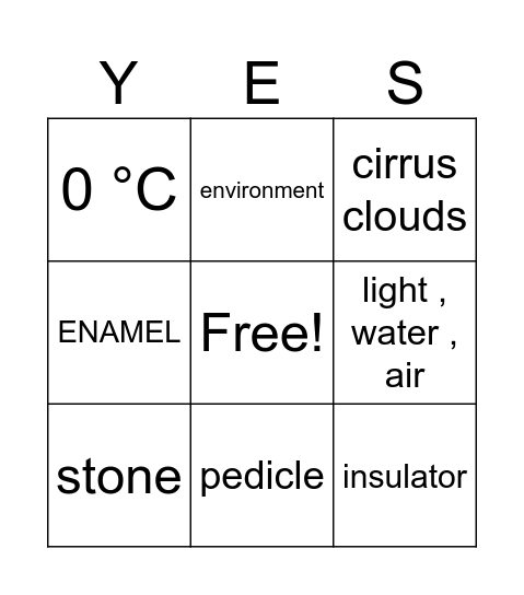 Science Bingo Card