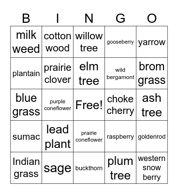 Waubay Wildlife Refuge Bingo Card