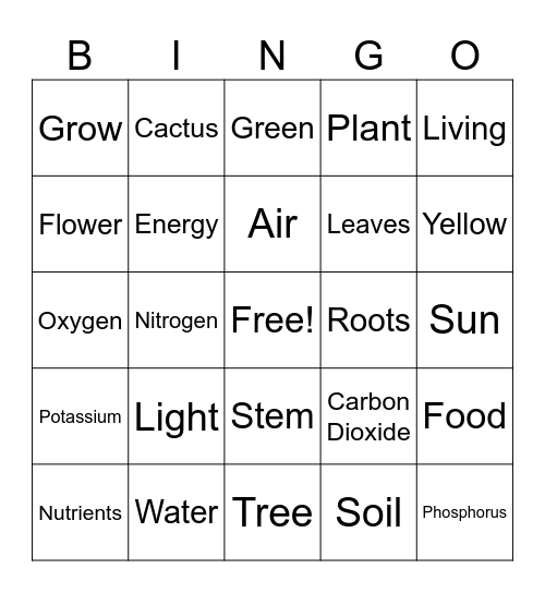 Life of Plants Bingo Card