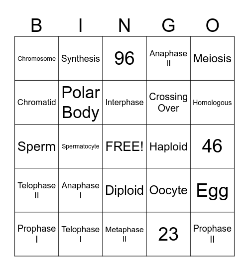 Meiosis Bingo Card