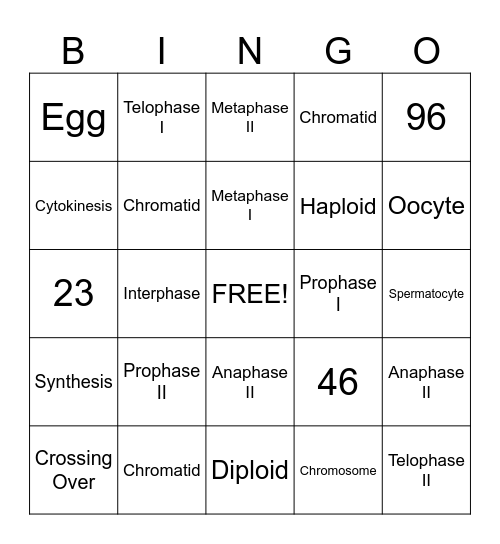 Meiosis Bingo Card