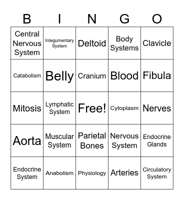 Anatomy Bingo Card