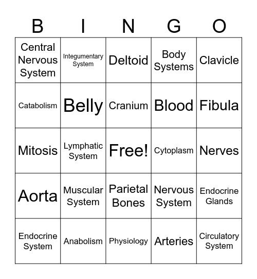 Anatomy Bingo Card