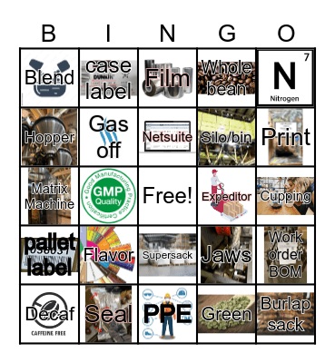 Main Vocabulary Bingo Card