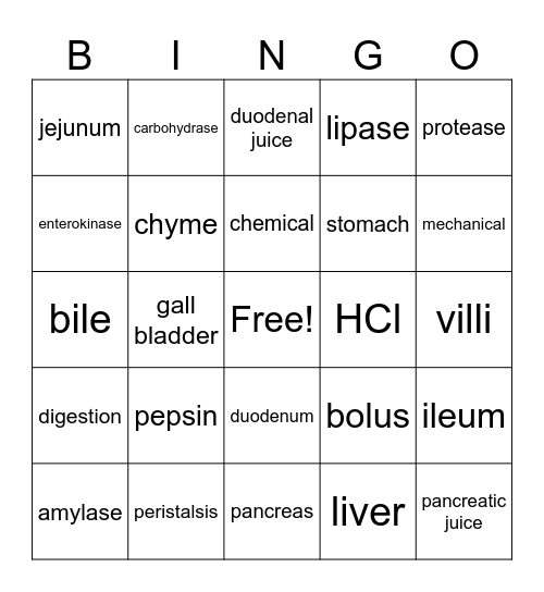 HUMAN DIGESTIVE SYSTEM Bingo Card