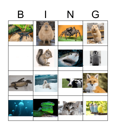 สัตว์น่าลัก Bingo Card