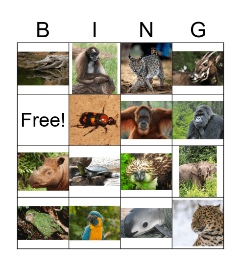 Endangered Animals Bingo Card