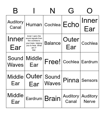 What am I? Bingo Card