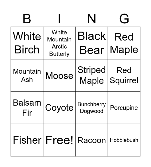 White Mountain Bingo Card