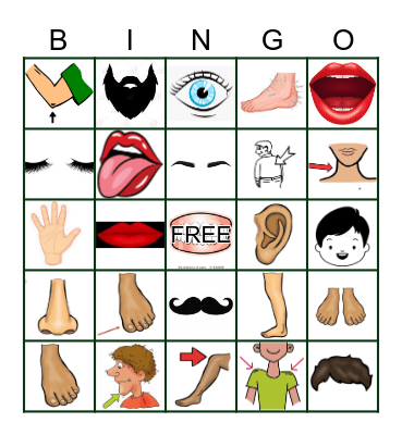 Body Parts Bingo Card