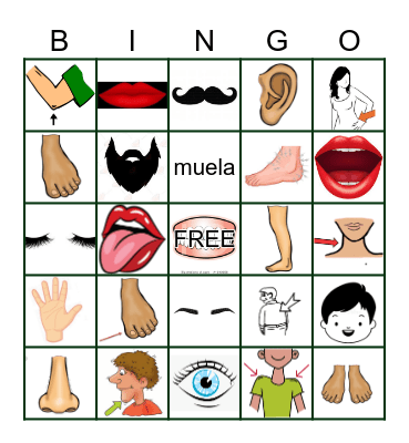 Body Parts Bingo Card