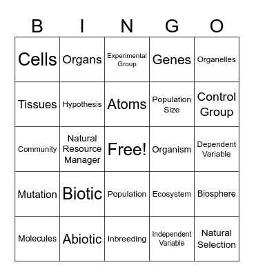 Conservation Bingo Card