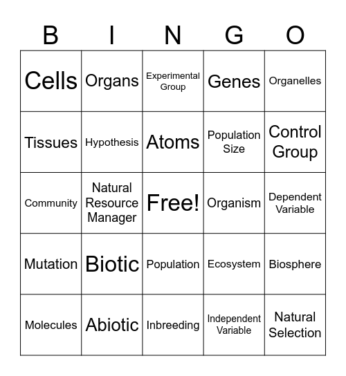 Conservation Bingo Card