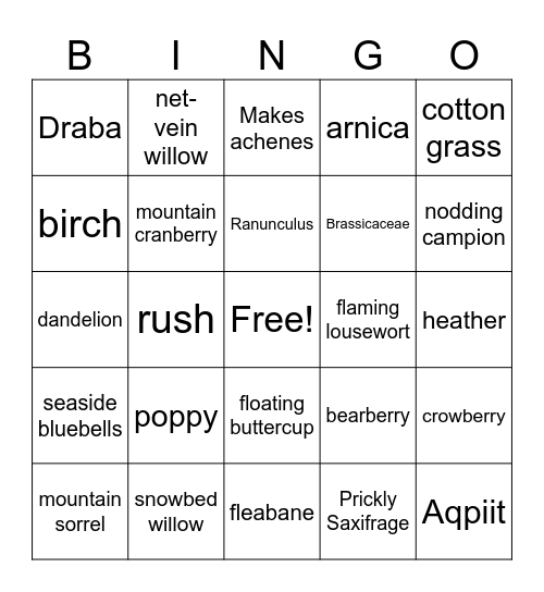 BINGO! Bingo Card
