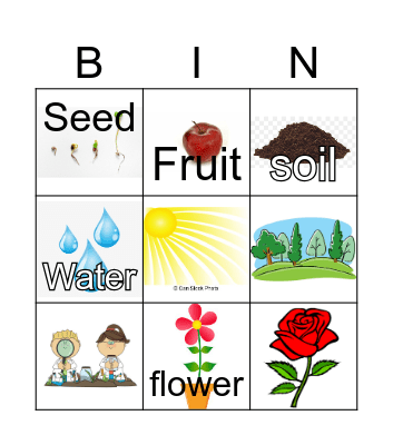 Plant Bingo: Plant Parts Bingo Card