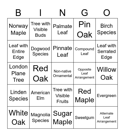 Tree ID Bingo Card