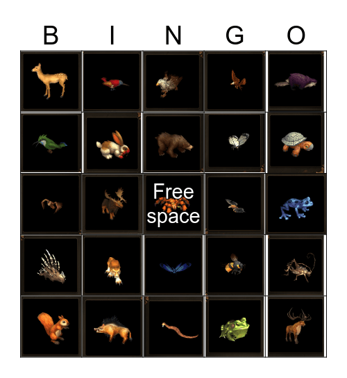 Loch Modan National Park Trip Bingo Card