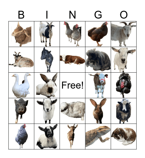 Brew Farm Animals Bingo Card