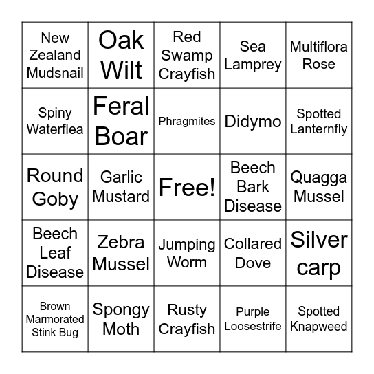 Invasive Species Bingo Card