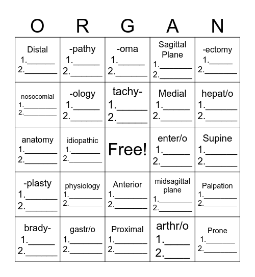 The Basics and the Body - Chapter 1 Bingo Card