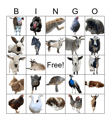 Brew Farm Animals Bingo Card