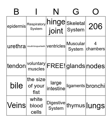 Human Body Systems Bingo Card