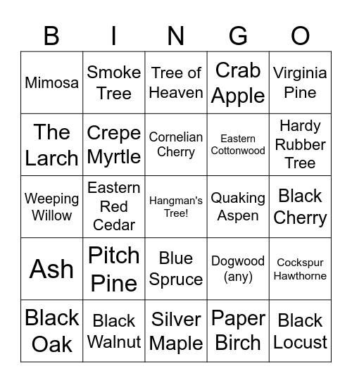 NYC Tree Scavenger Hunt Bingo Card