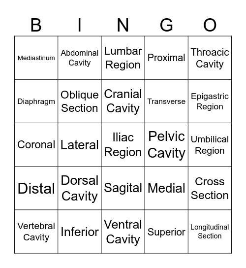 Cavities, Sections & Locations Bingo Card