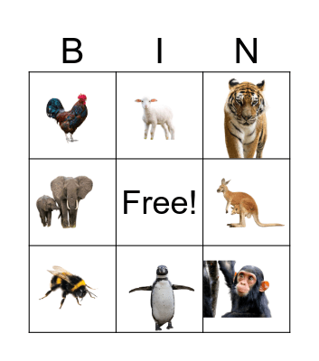 Animal Bingo Card